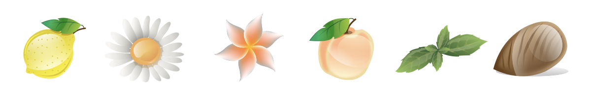 Vůně a chuť vína Pinot Grigio z vinařství De Stefani